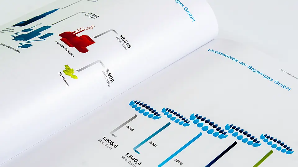 Geschäftsbericht Energiewirtschaft: Bayerngas-Konzern 2010 – Infografken