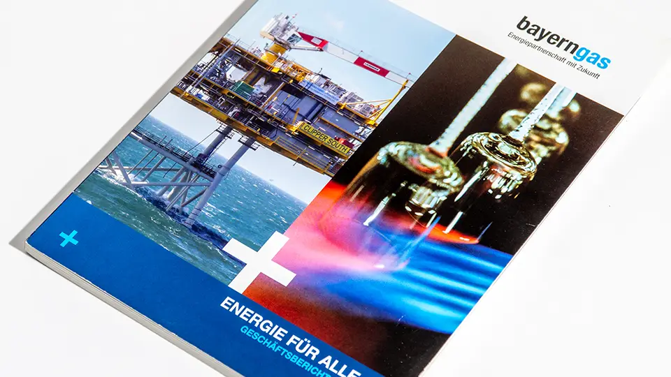 Geschäftsbericht Energiewirtschaft: Bayerngas-Konzern 2011 – Titel
