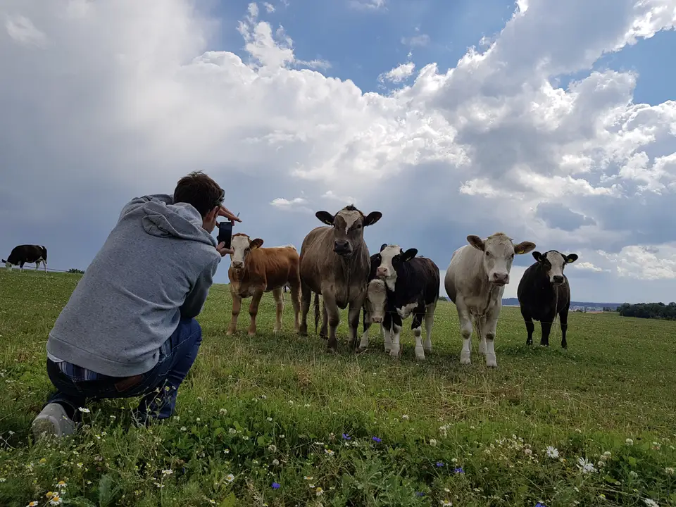 Dokumentation Pipelinebau: Making of – Zuschauer am Set