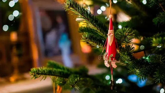 Weihnachten als Marke: Weihnachtsbaum als Keyvisual