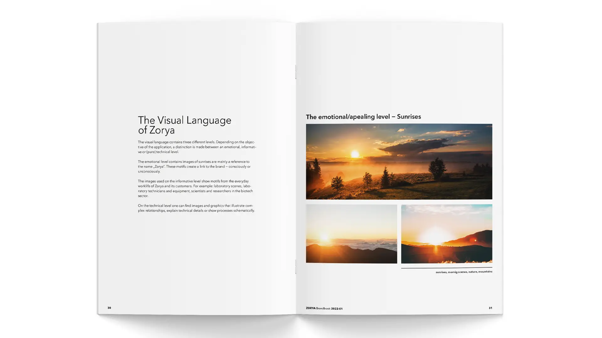 Life Science Branding: Brandbook – Visual Language 01