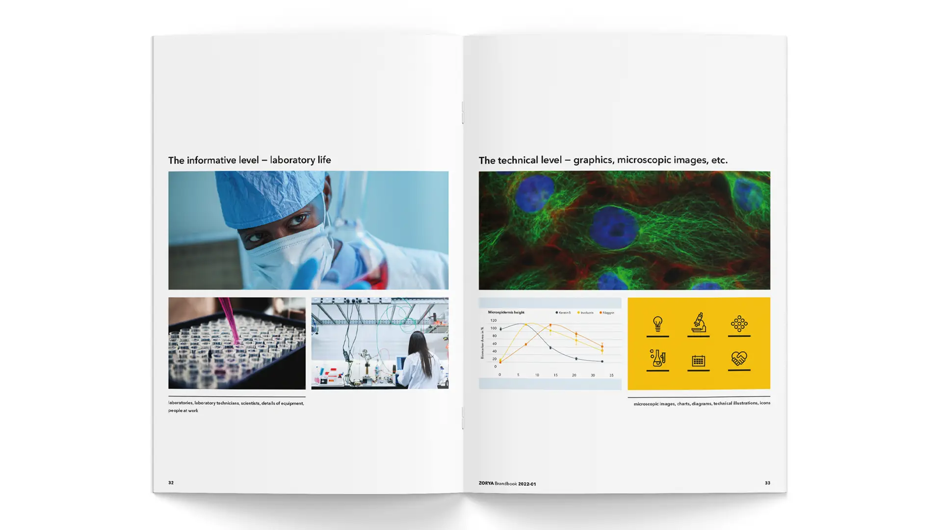 Life Science Branding: Brandbook – Visual Language 02