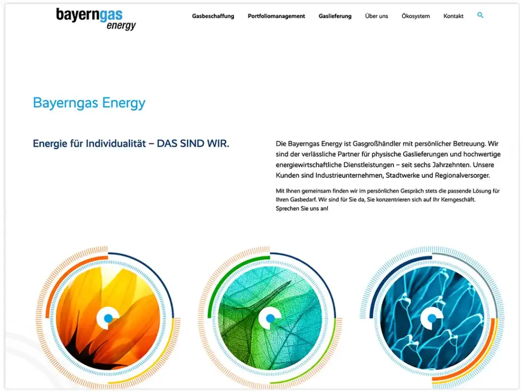 Homepage Bayerngas Energy